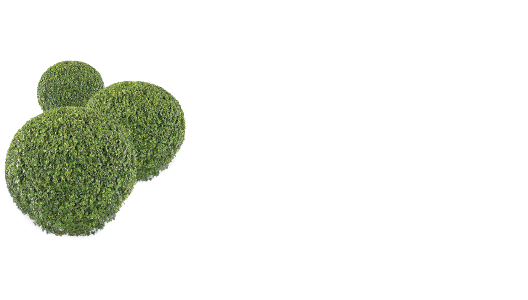 Müller - Gartenbau und Planung